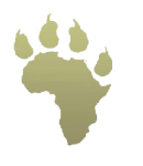 Africa Media - Logo