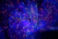 Mystic Spirit - Logo