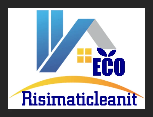 Risimaticleanit logo