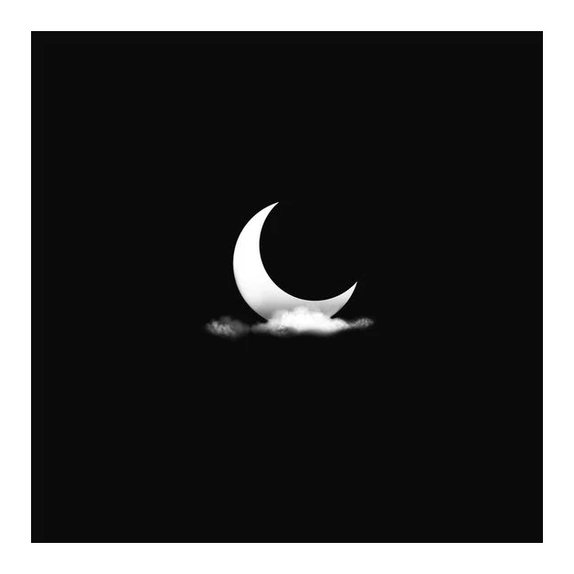 First Dream Group logo