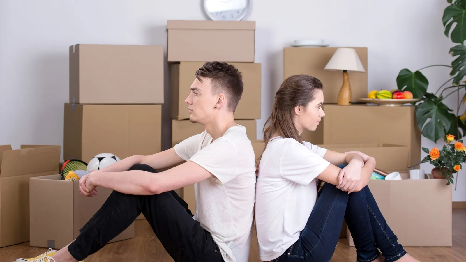 BW Movers photo 2