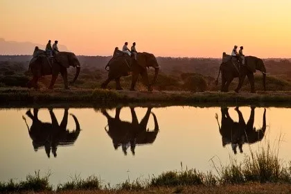Kingsview Safari photo 2