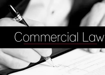 Michael Raphela Attorneys iNC photo 3