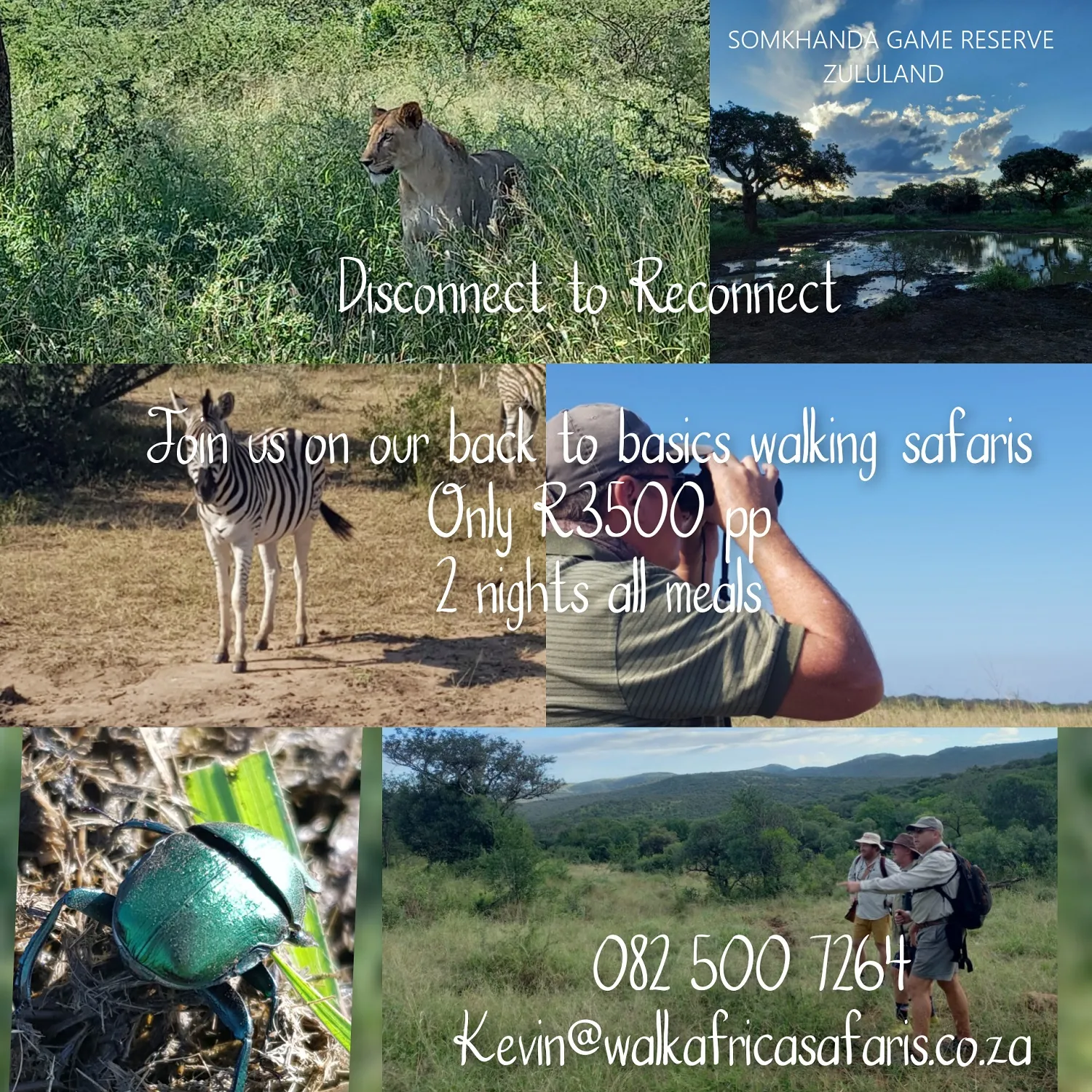 Walk Africa Safaris photo 1