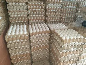 Globalink Poultry Farms Ltd Pty photo 2