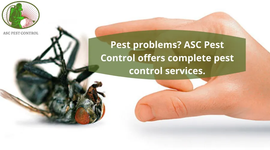 ASC Pest Control photo 1