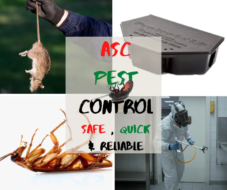 ASC Pest Control photo 3