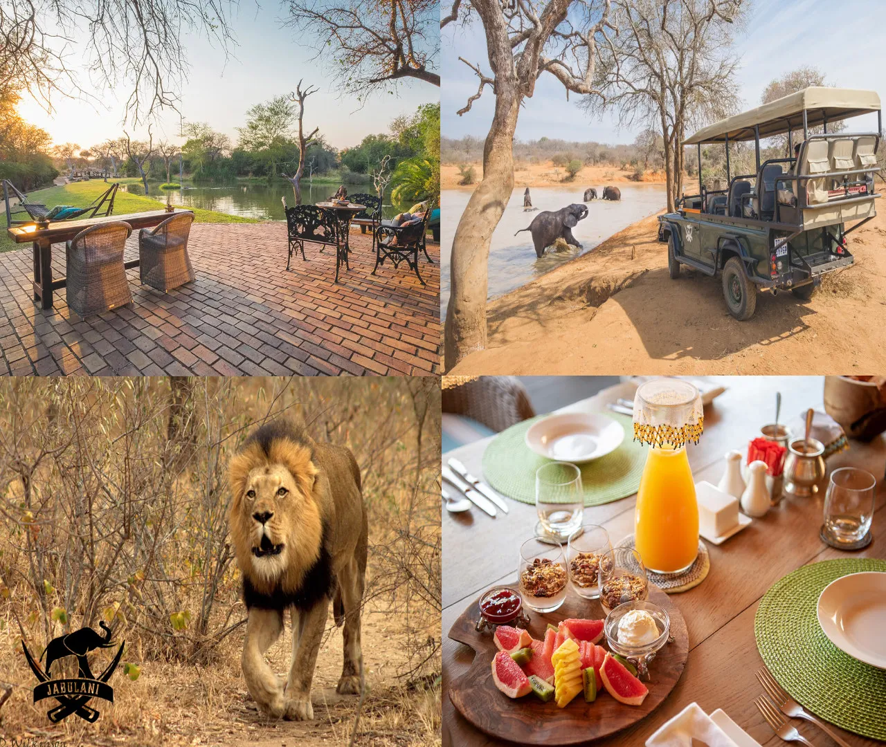 Jabulani Safari photo 2