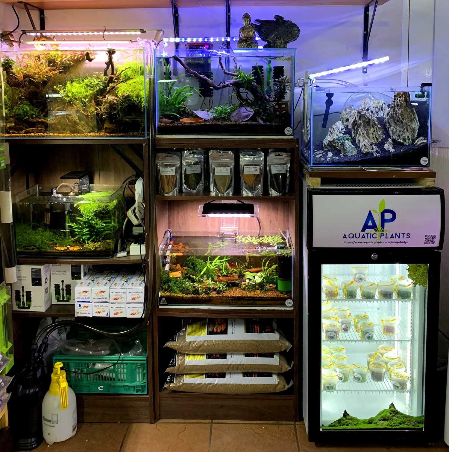 Aquatic Plants SA photo 2