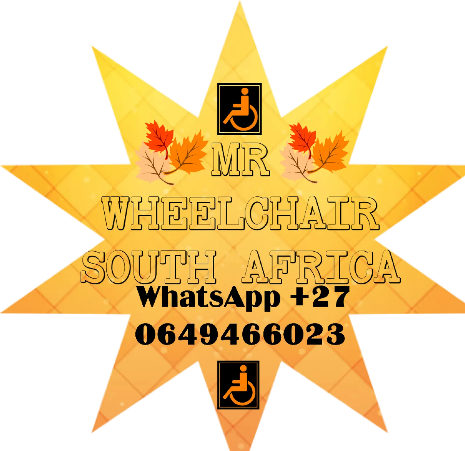 Mr Wheelchair South Africa photo 3