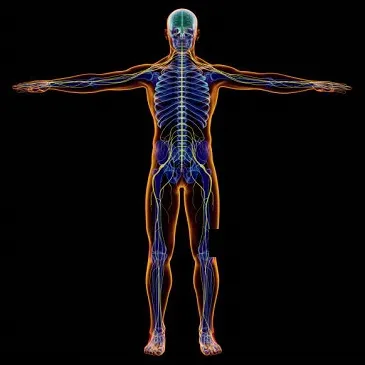 Dr Obi Orjiako, Orthopaedic Spine Specialist photo 2