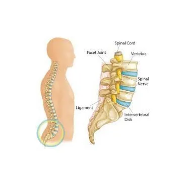 Dr Obi Orjiako, Orthopaedic Spine Specialist photo 4