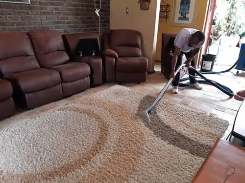 Rug Cleaning Bedfordview photo 1