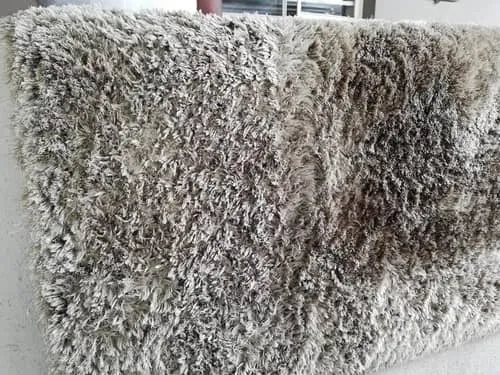 Rug Cleaning Bedfordview photo 2