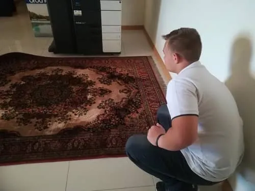 Rug Cleaning Bedfordview photo 3