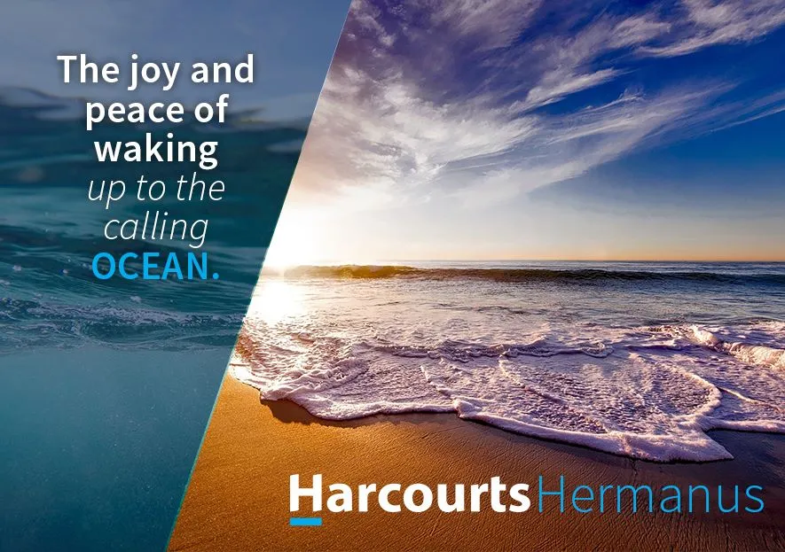 Hermanus Harcourts photo 4