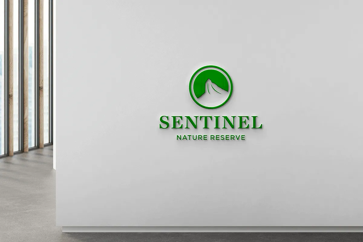 Eons Digital - Web Design Cape Town photo 2