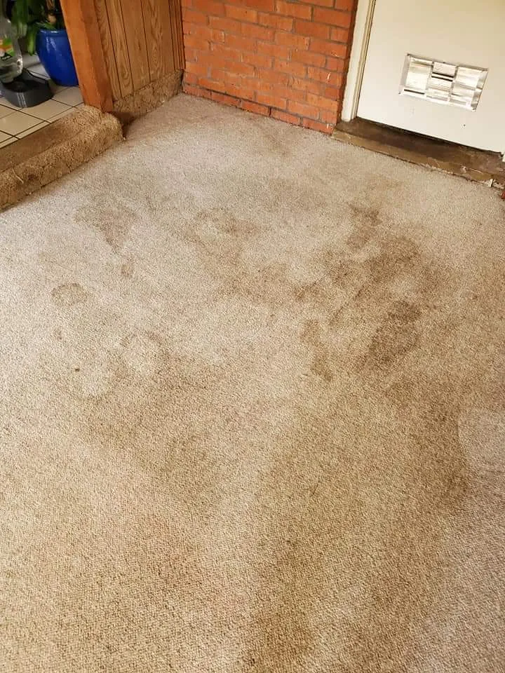 Delightful Cleaning Services photo 3
