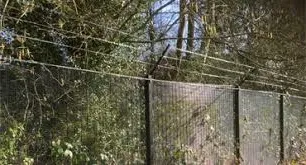 Fence and All photo 1