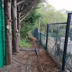 Fence and All photo 2