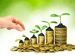 Nepolos Prosperity Financial Investors Group photo 1