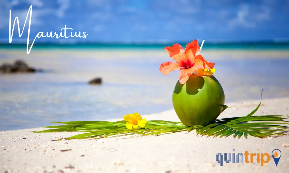 Quintrip photo 4