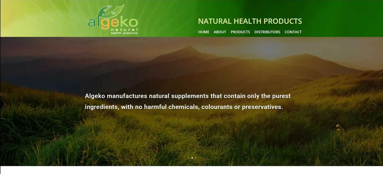 Go Webs website design photo 3