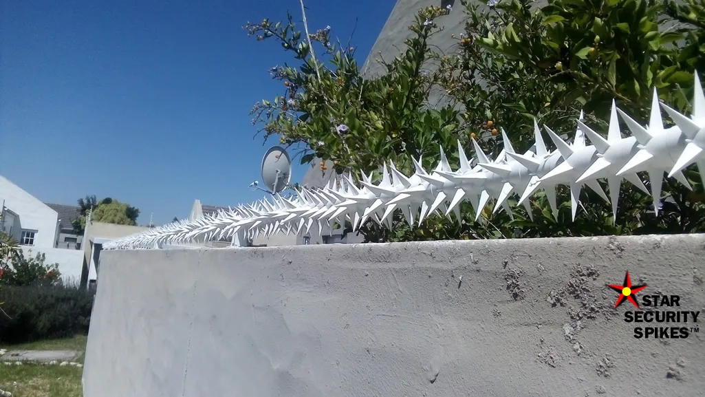 Star Security Spikes Online Store photo 1
