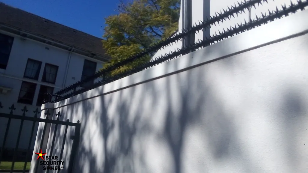 Star Security Spikes Online Store photo 2