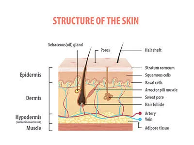 Jacobs and Comfort SkinMed, Dermatologist photo 2