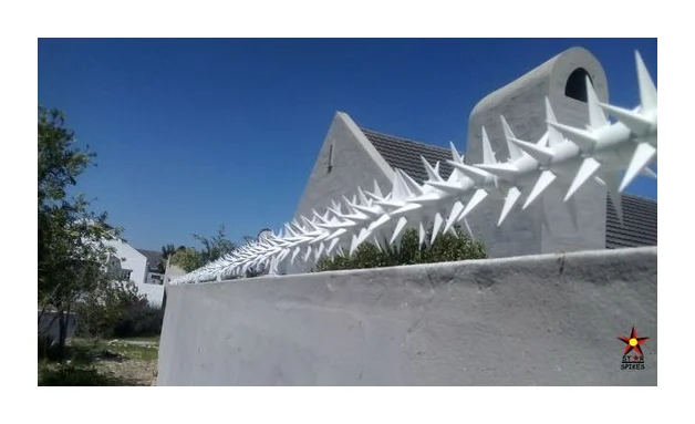 Star Security Spikes logo