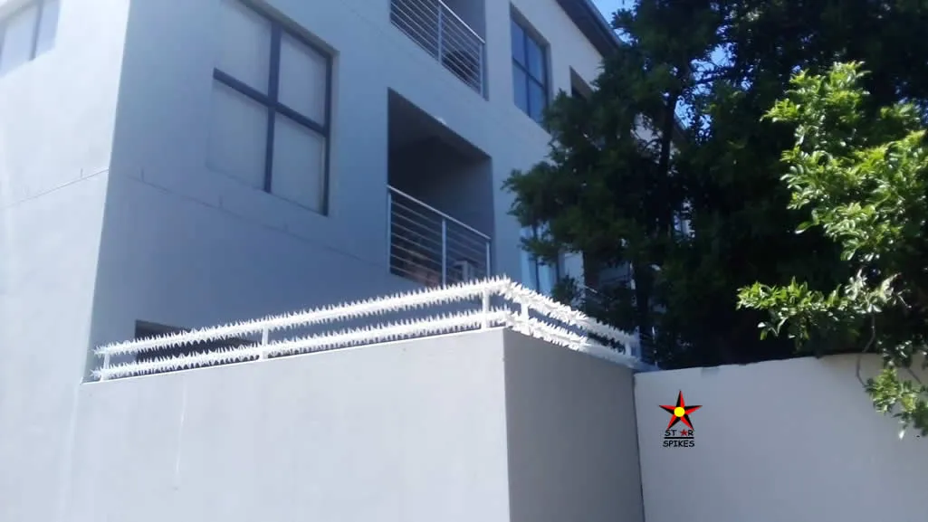 Star Security Spikes photo 1