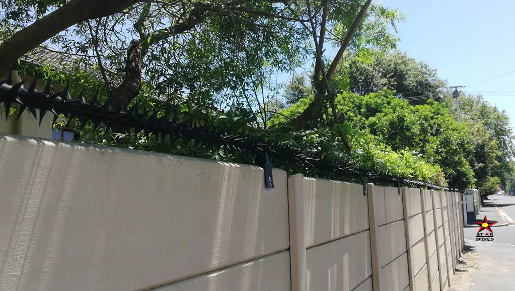Star Security Spikes photo 4