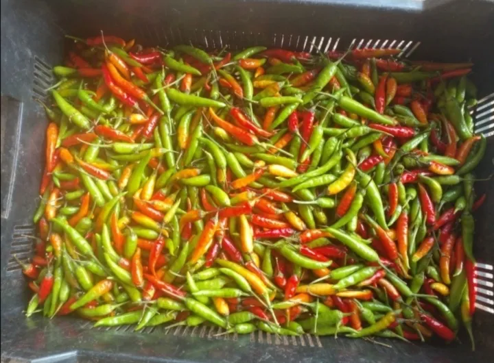 Thuxalushaka Farming and Trading photo 2