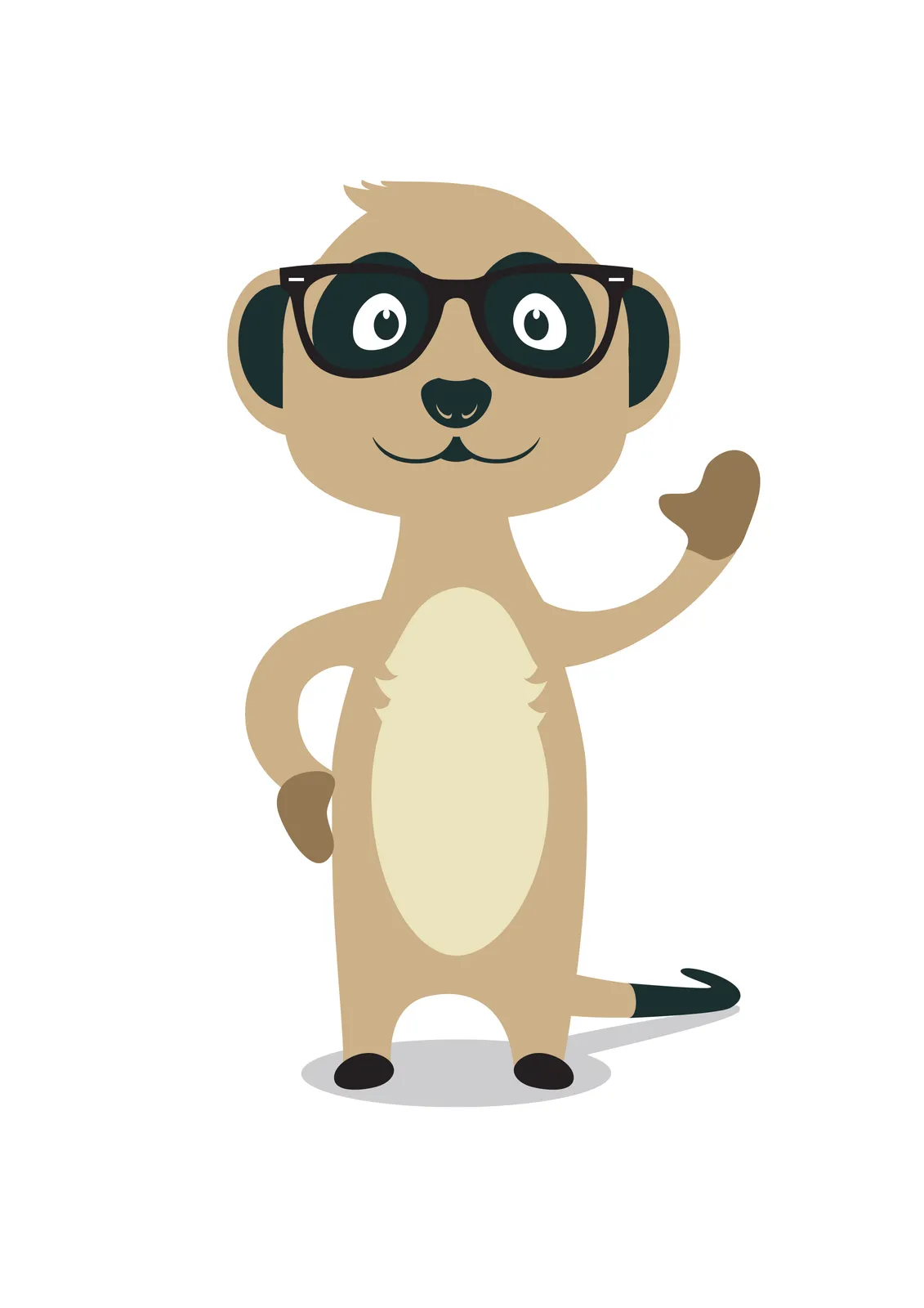 Meerkat photo 1