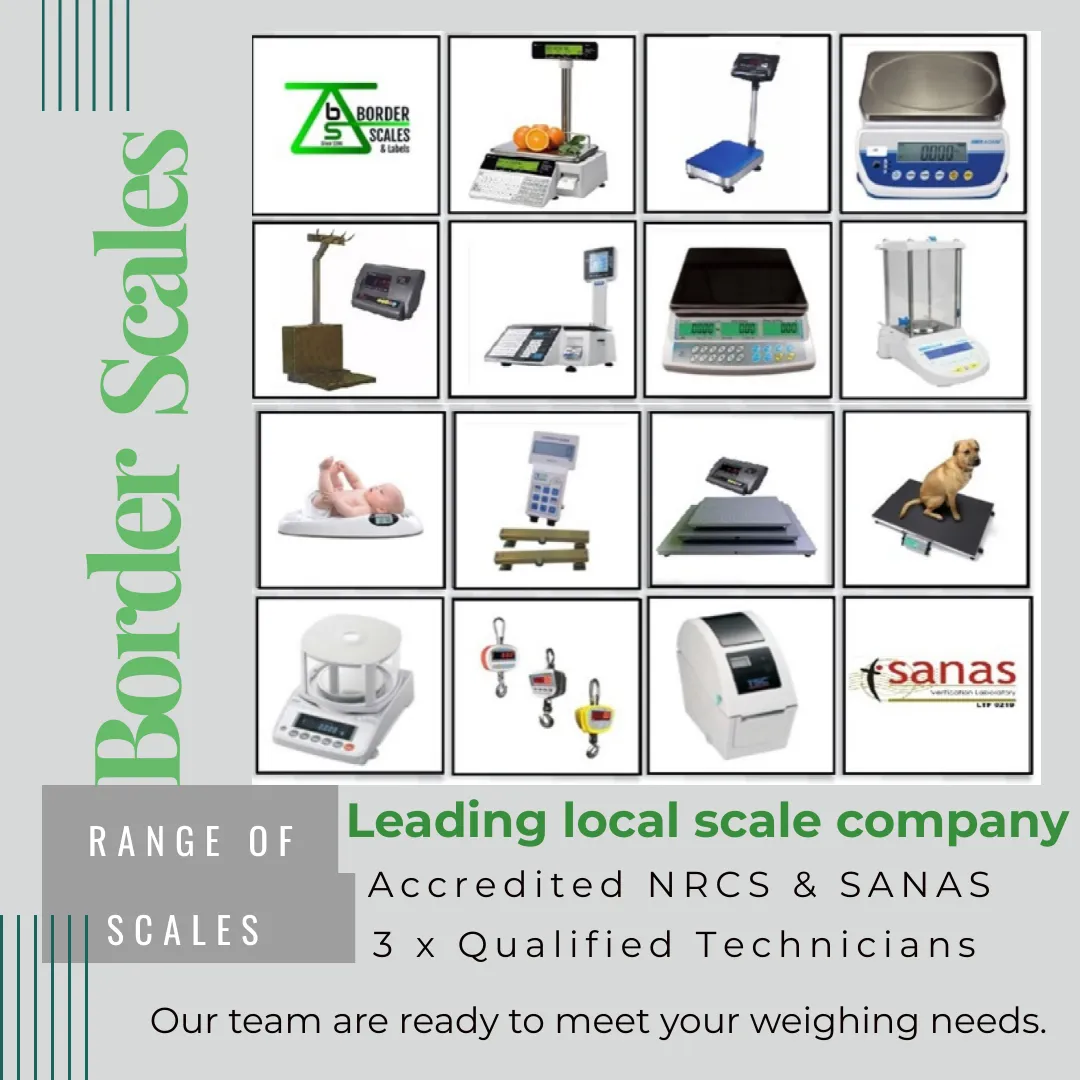 Border Scales photo 1