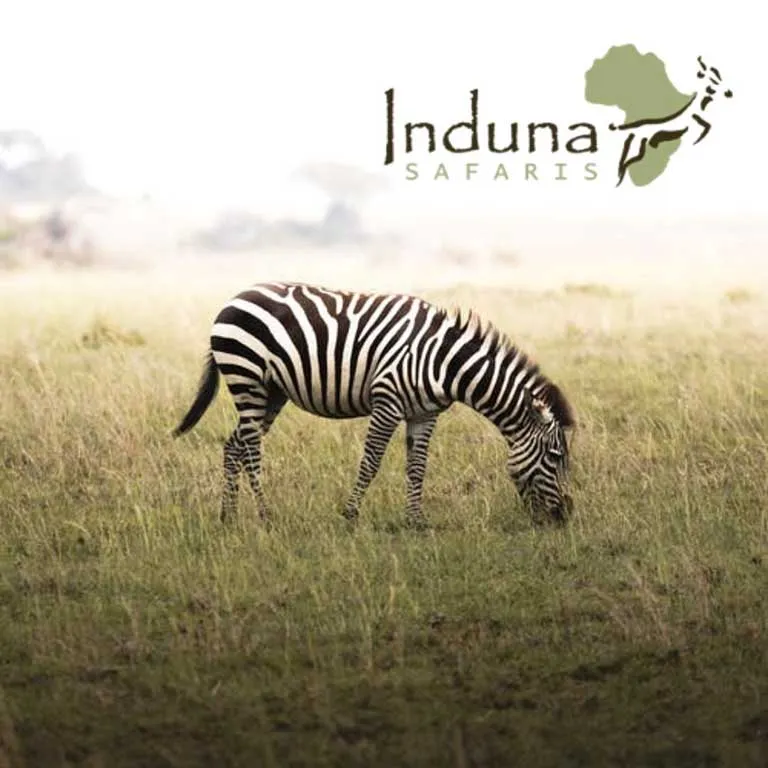 Induna Safaris photo 1