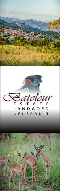 Bateleur Estate photo 1