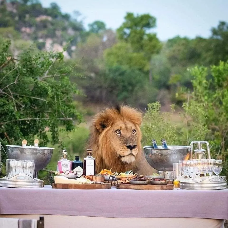 Nhongo Safaris photo 3