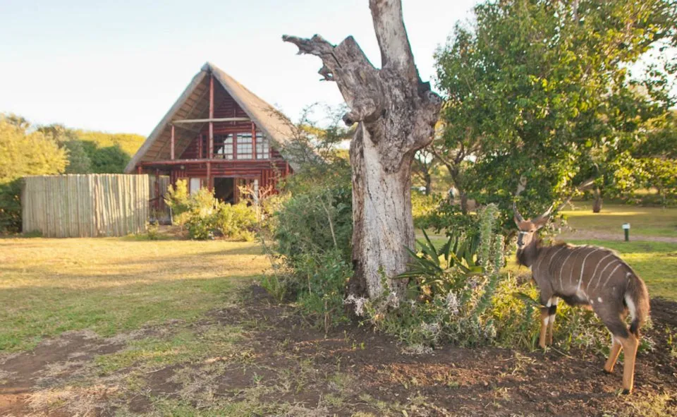 Rhino River Lodge photo 3