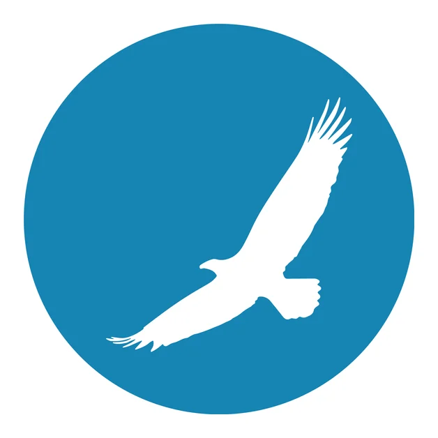 iiTranslation logo