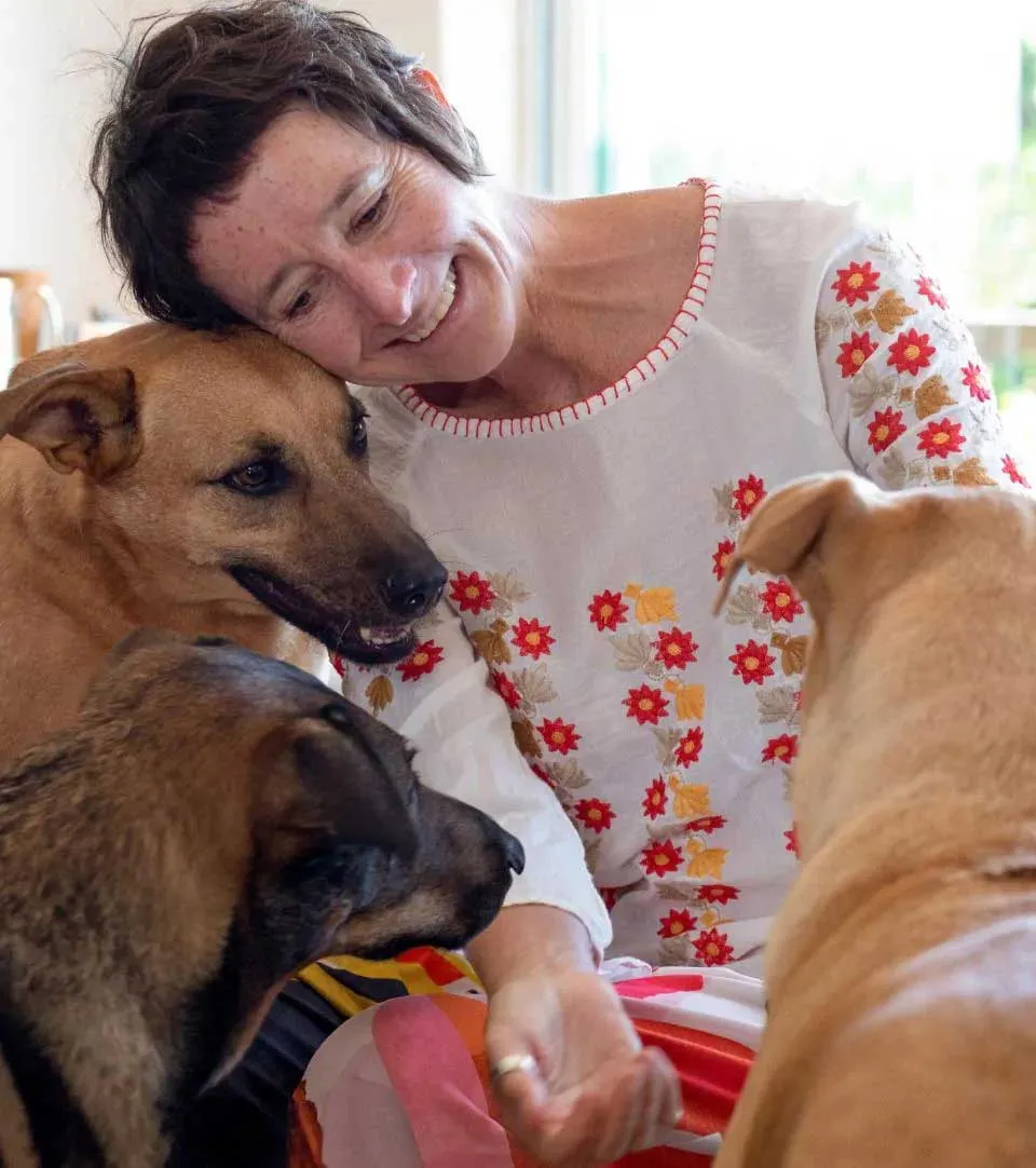 Happy Hounds photo 4