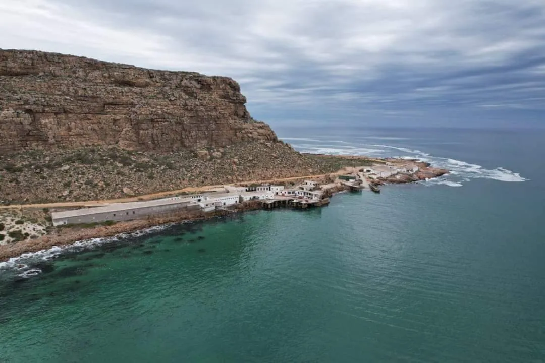 Oceanic Elandsbaai photo 3