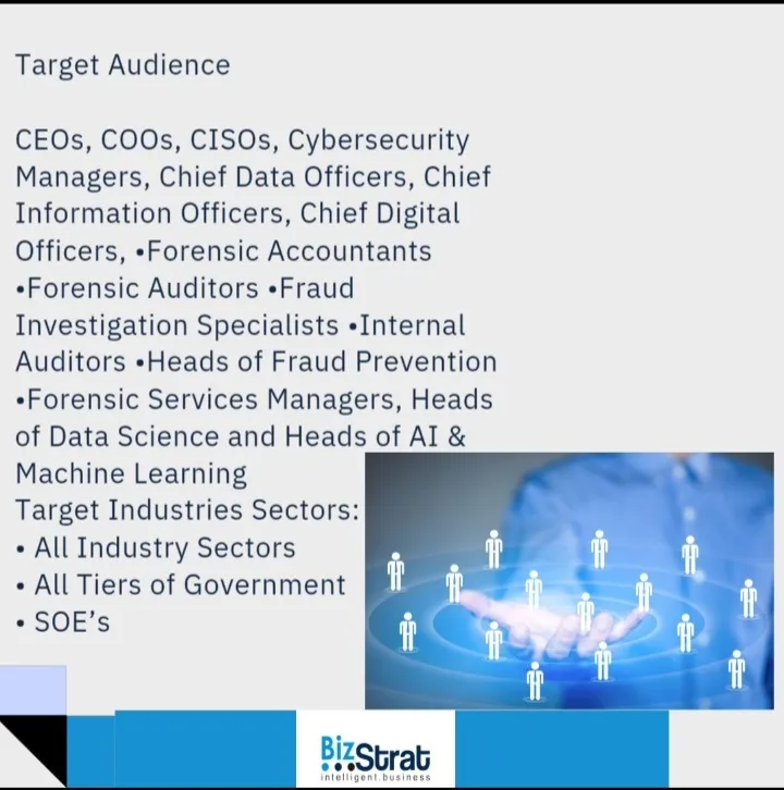 Bizstrat intelligent business photo 4