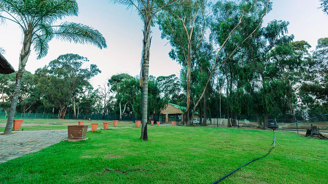 Kleinwater College photo 2
