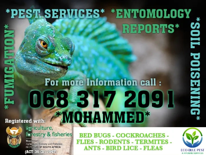 ECO BLUE PEST & HYGIENE (Pty) Ltd. photo 1