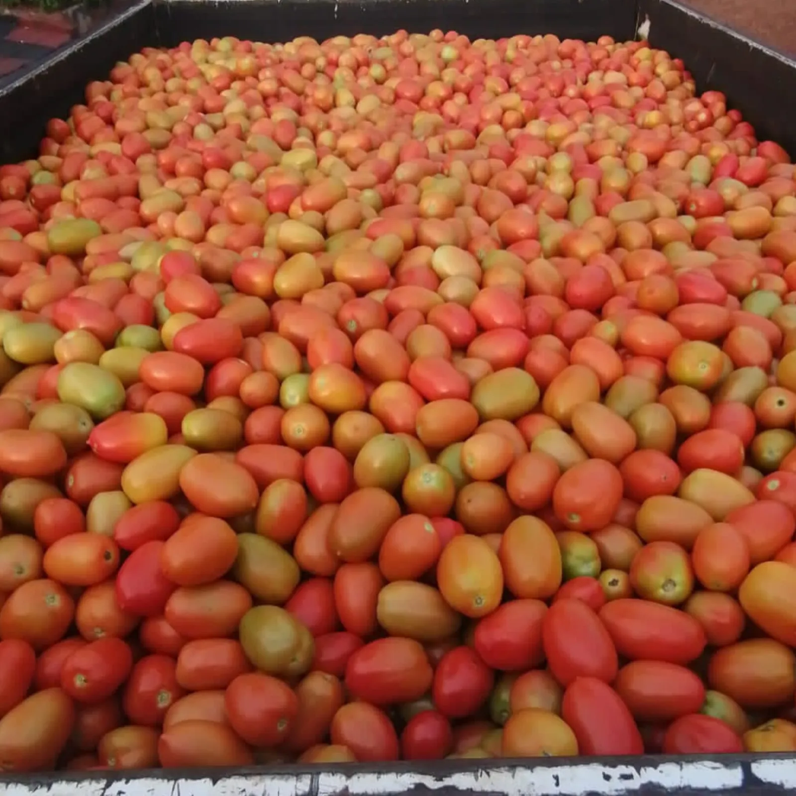 Thuxalushaka Farming and Trading photo 1