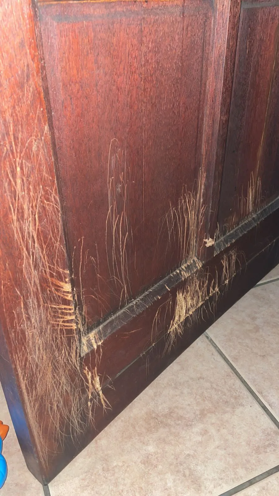We Fix All Renovations & Repairs (Pty) Ltd photo 4