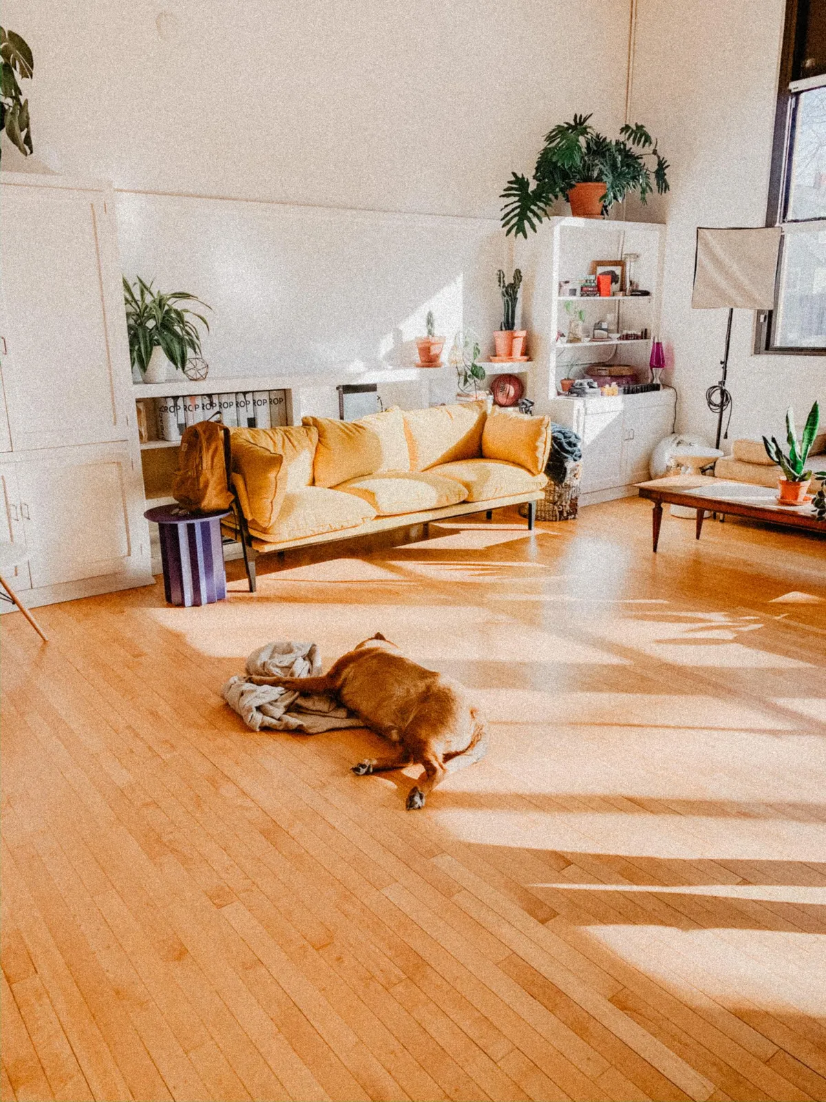 Resilient Flooring photo 2