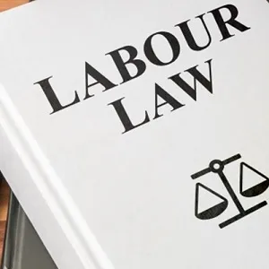 Mohlahlego Peter Ramaloko Attorneys photo 3